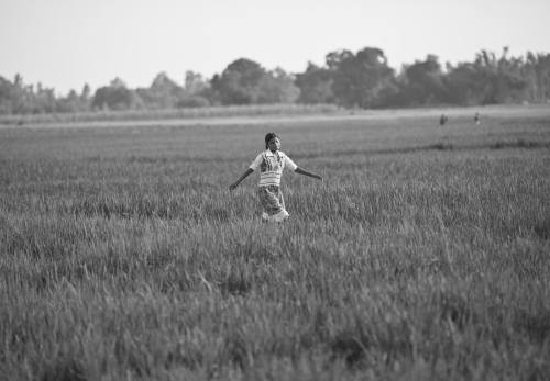 Kodanna Field, Women and Climate program