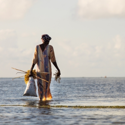 Women & Climate Program Fondation L'Oréal